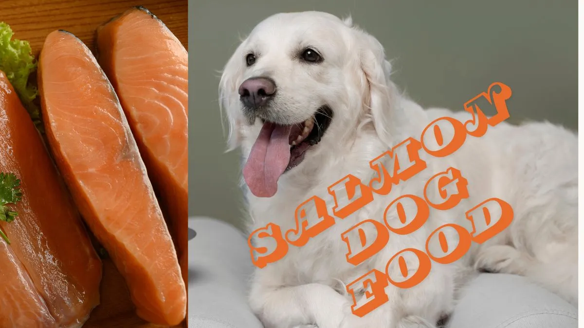 Salmon Dog Food