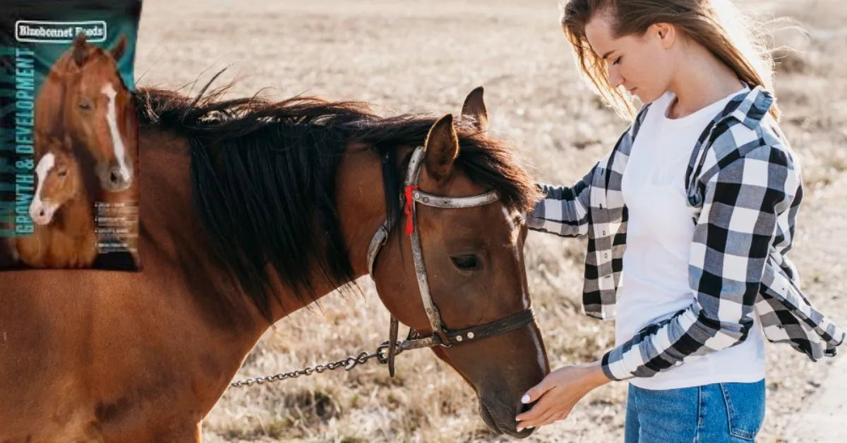 Blue Bonnets Feed for Horses