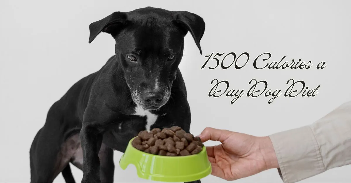 1500 Calories a Day Dog Diet