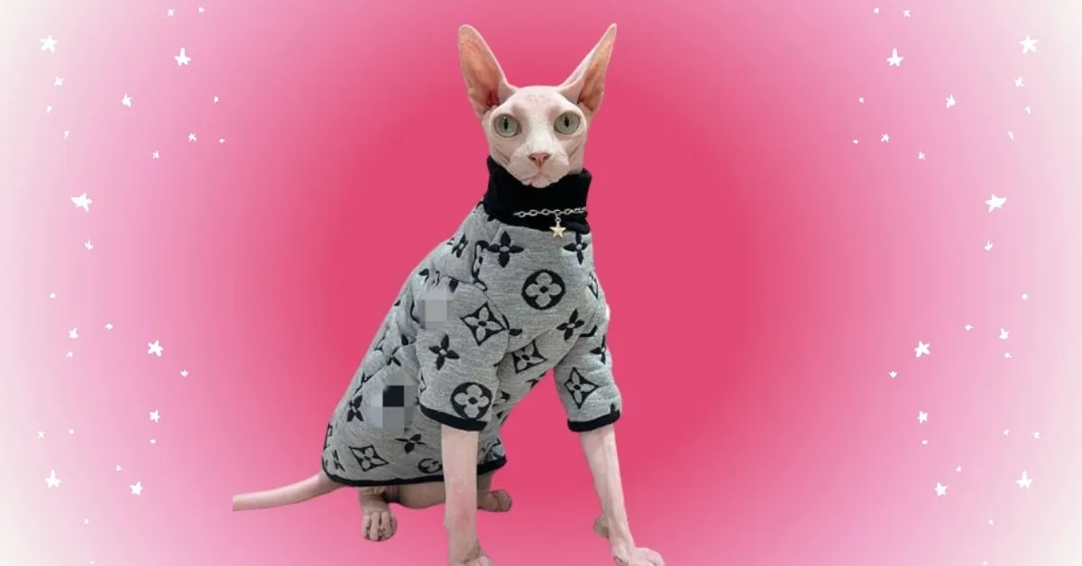 Sphynx Cat Sweater