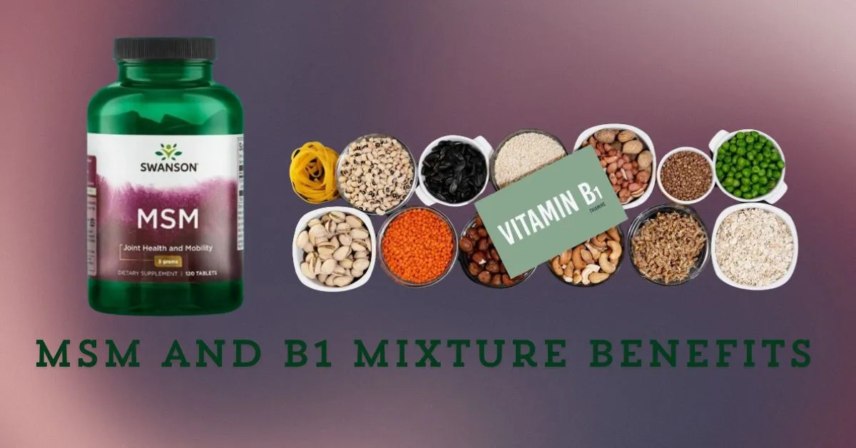 MSM and B1 Mixture Benefits